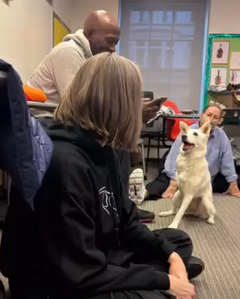 Hold education seminars for students to teach about animal rescue and welfare