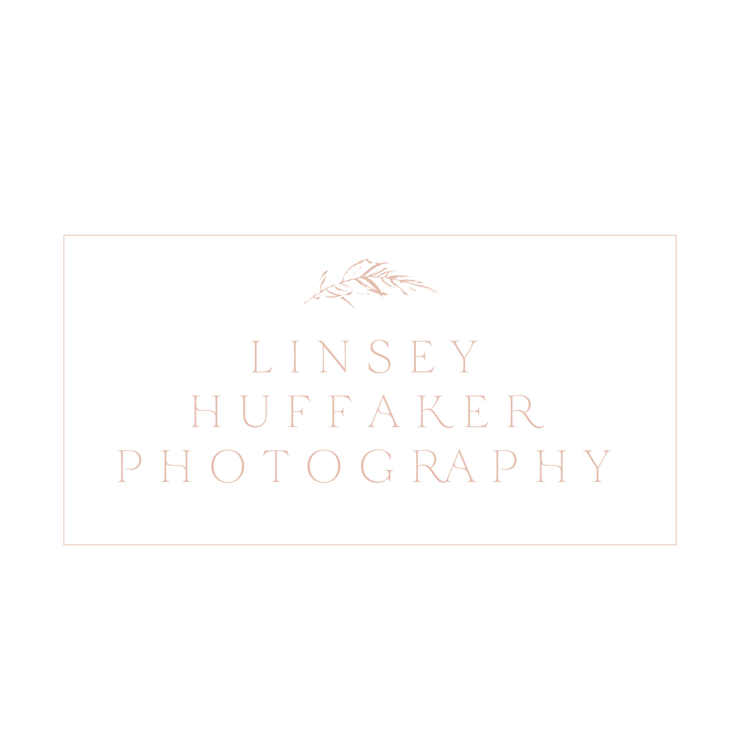 What’s in my camera bag? Wedding Photographer Edition