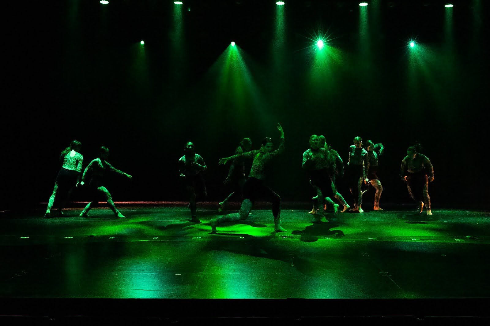   Fall-Dance Concert , 2022, SCSA. Photo Credit: Lynn Guthrie 