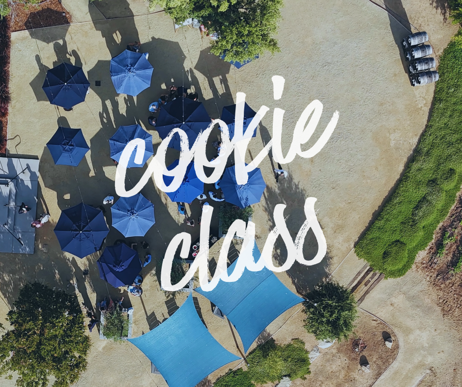 Cookie Class Saturday