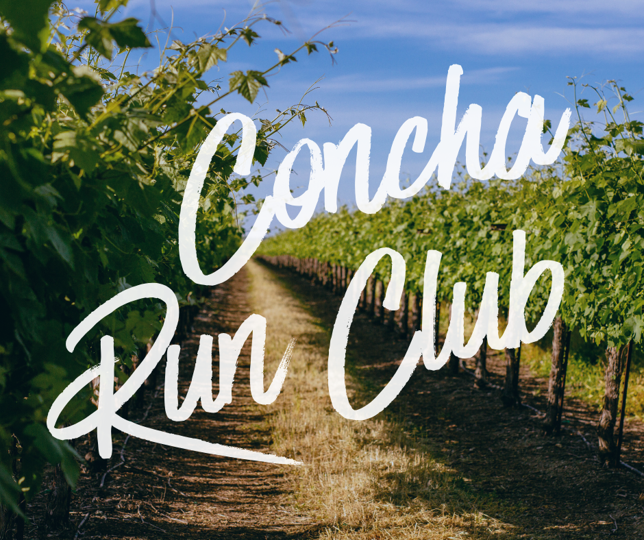 Vineyard walk & Run with Concha Run