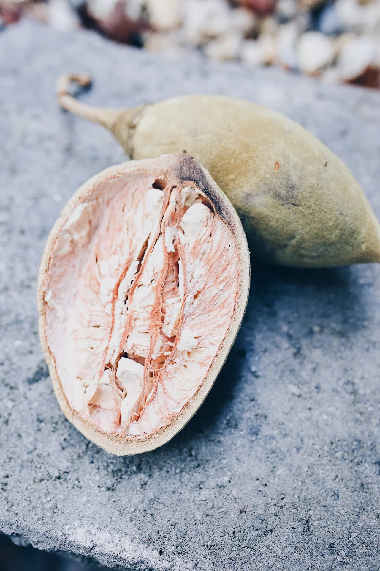 Organic Baobab Fruit