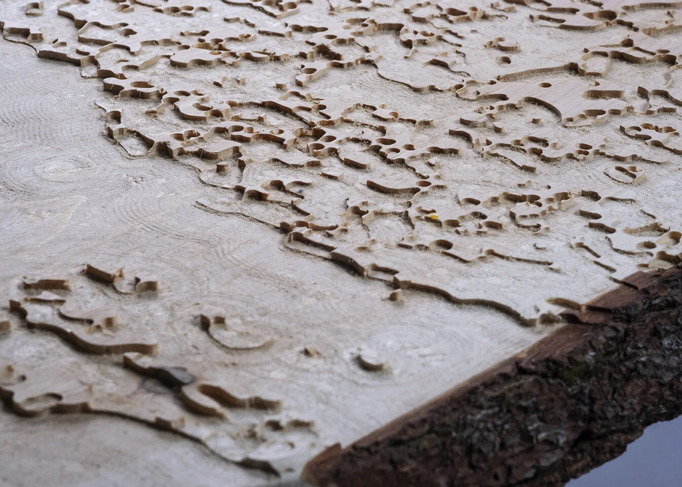 Moon Table Texture.jpg