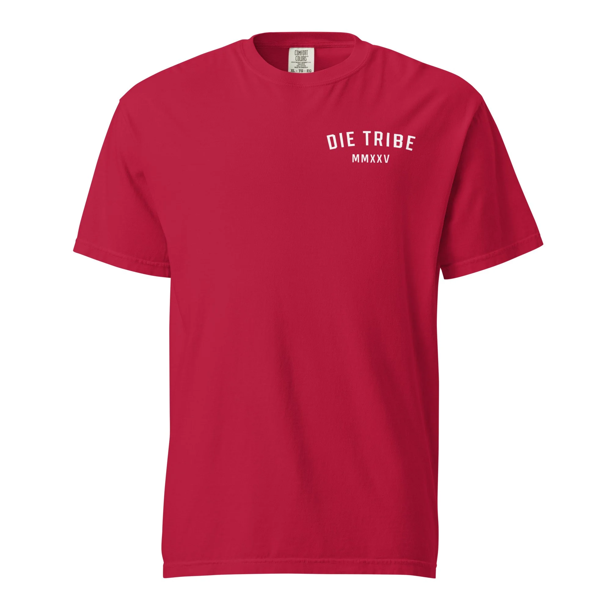 unisex-garment-dyed-heavyweight-t-shirt-red-front-69d7c506d9b12.jpg