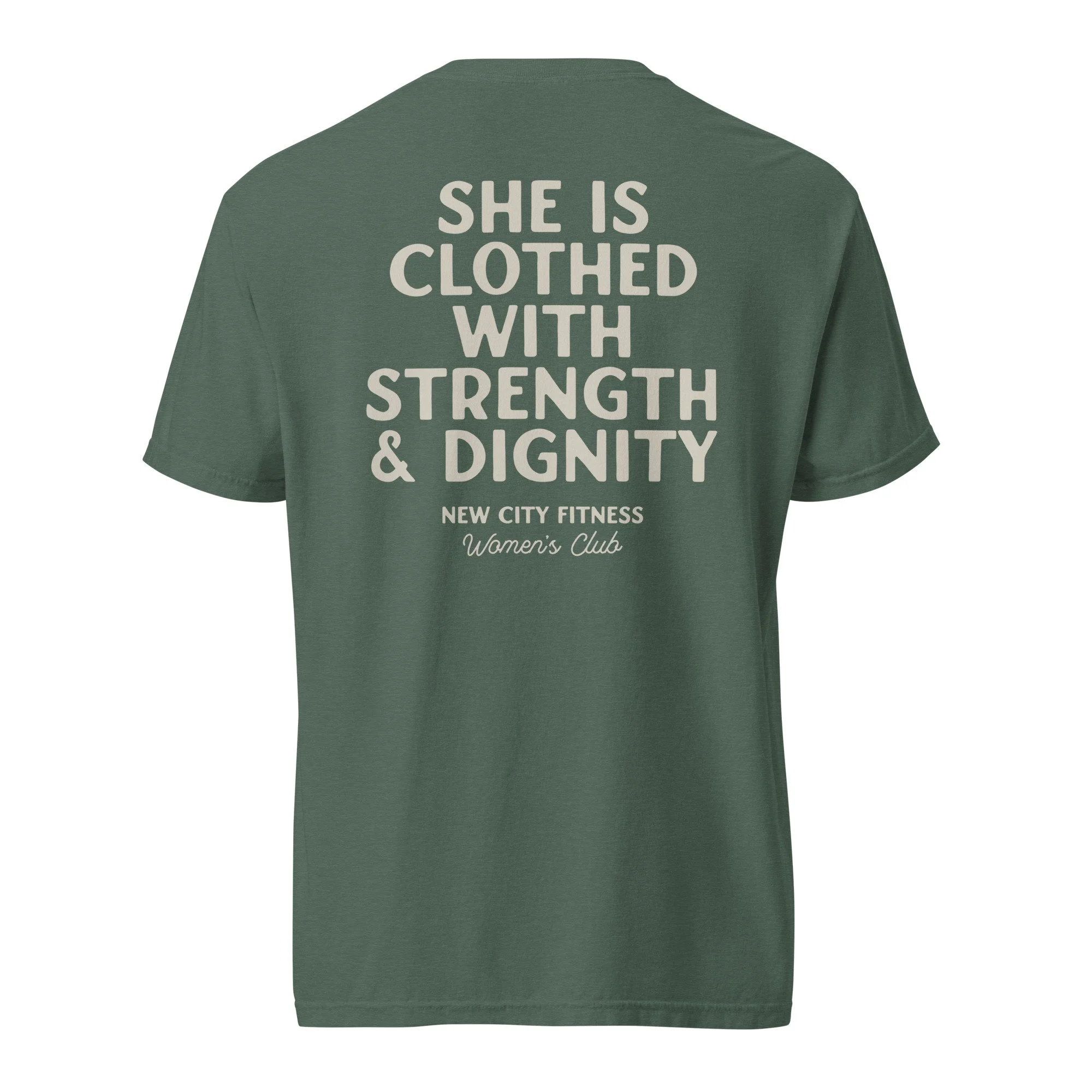 unisex-garment-dyed-heavyweight-t-shirt-blue-spruce-back-6aa49de1e53ee.jpg