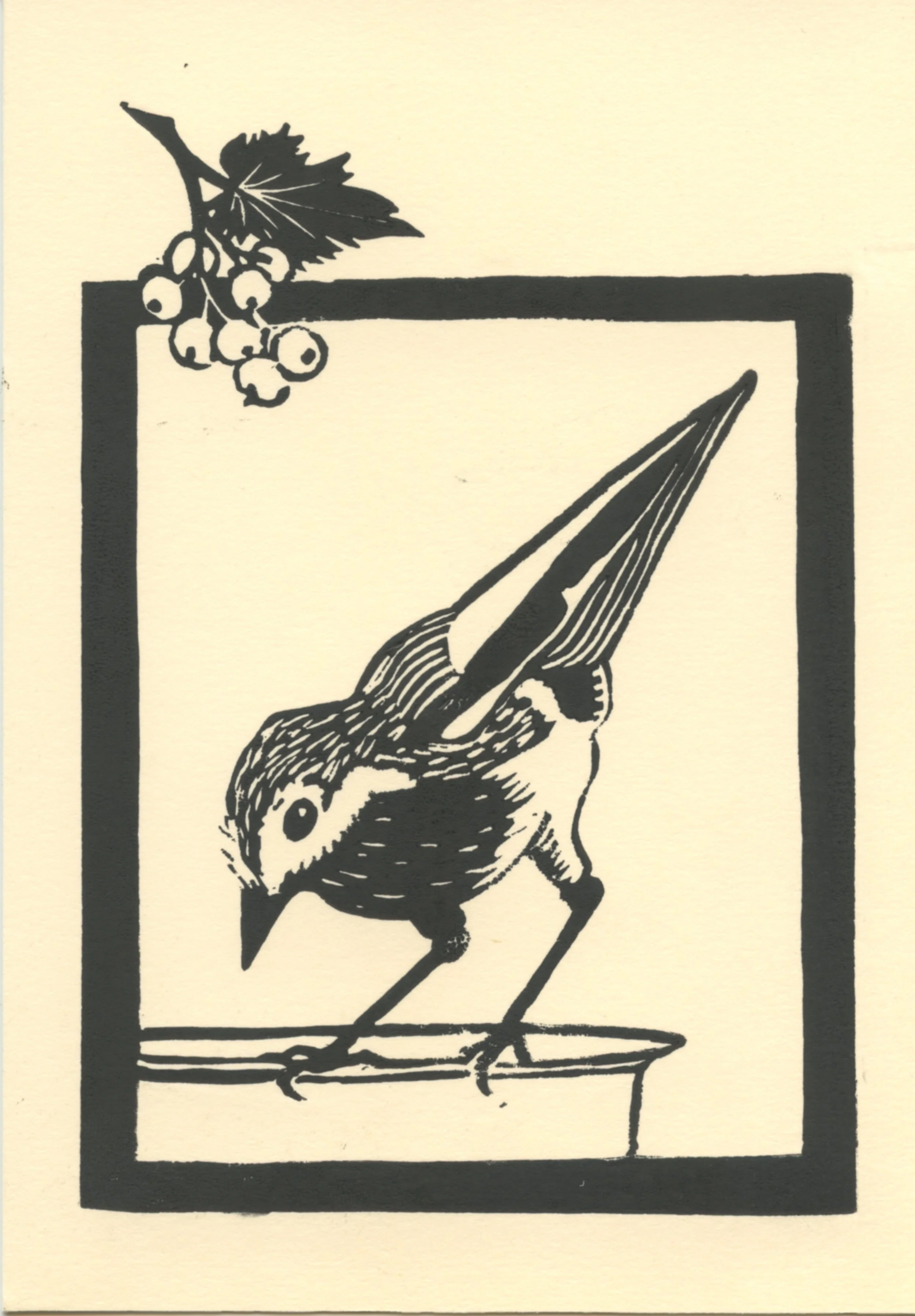 E Worth "Thrush".jpeg