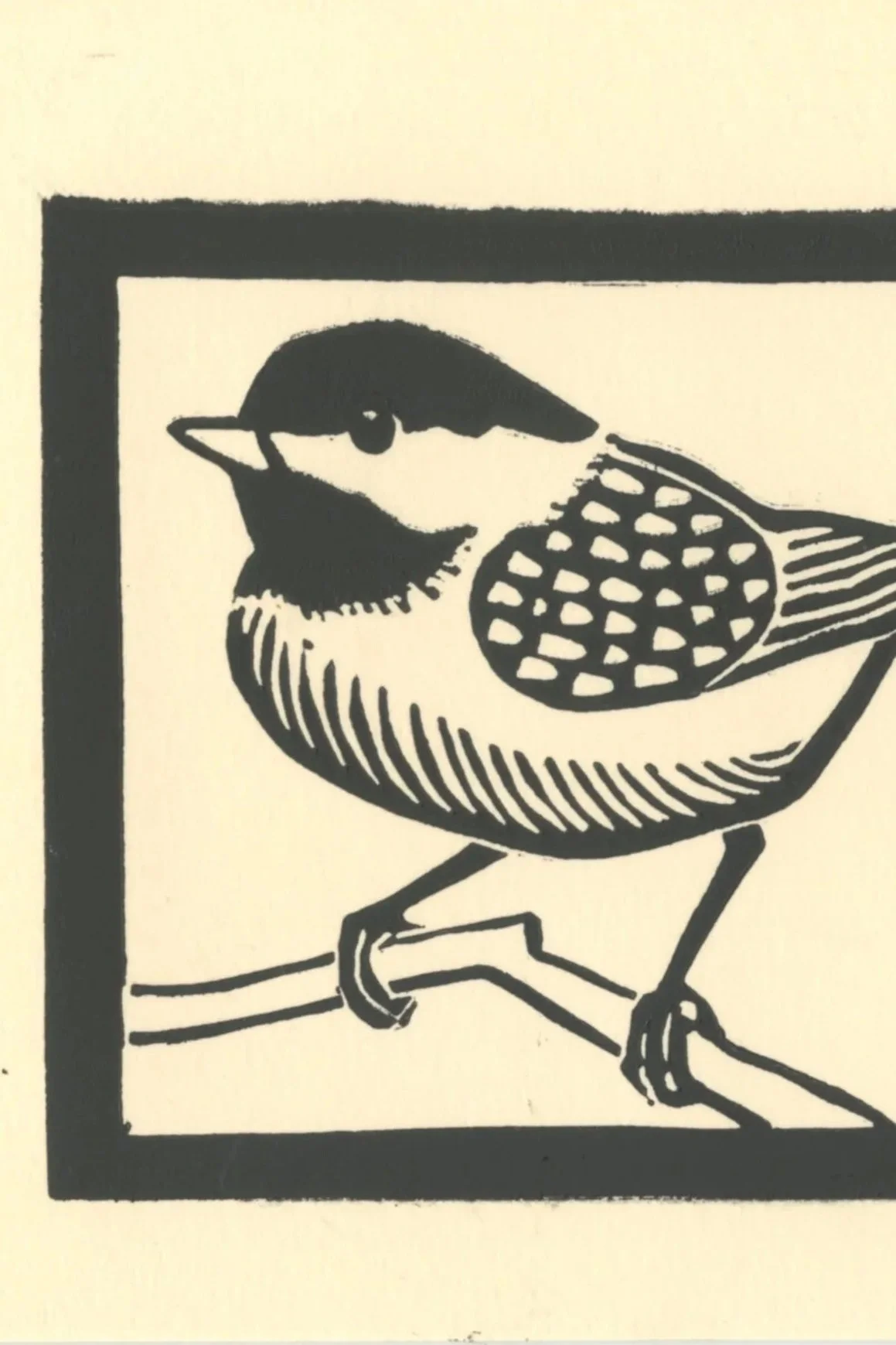 Chickadee card