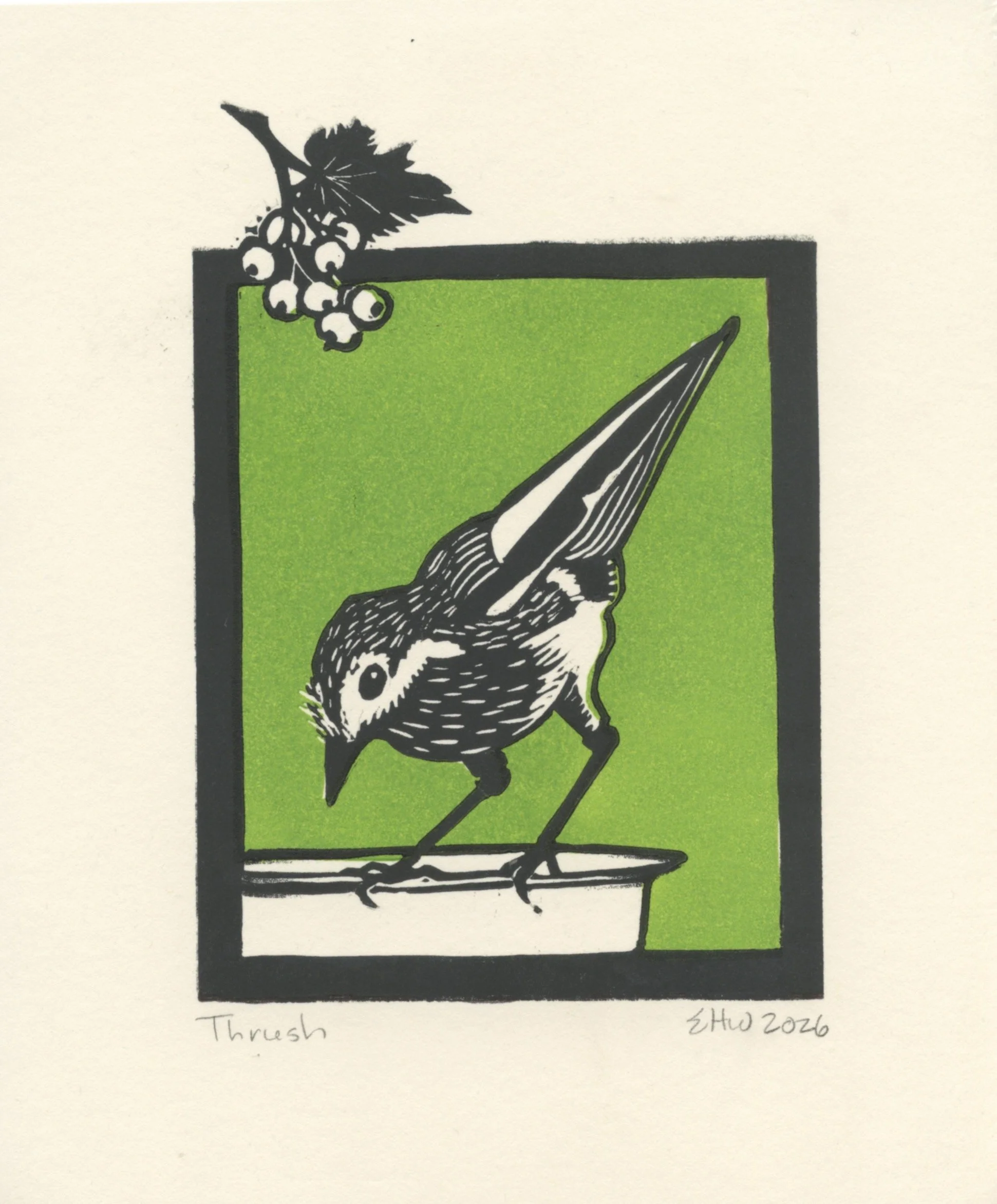 E Worth "Trush" (color).jpeg