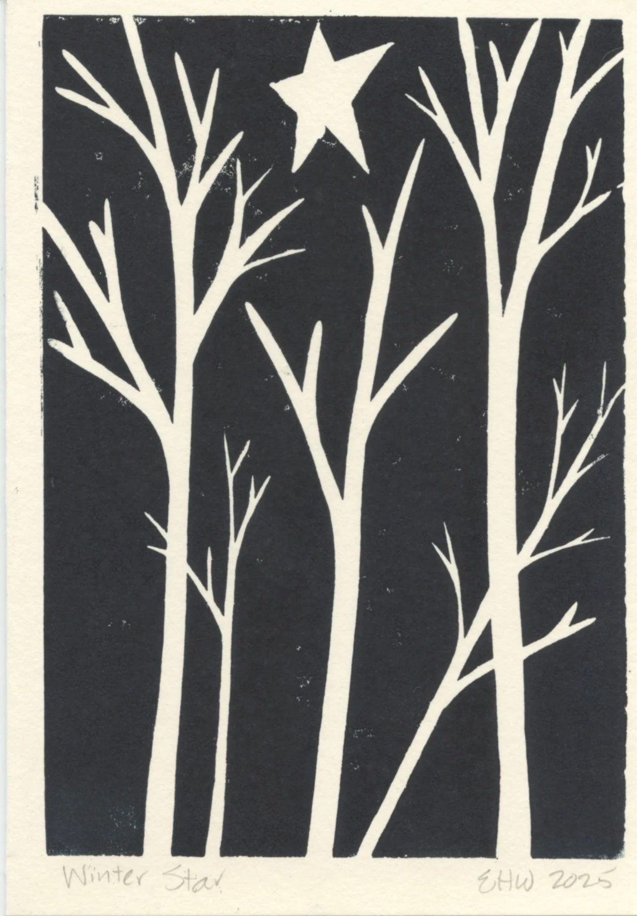 E Worth "Winter Star" 2.jpeg