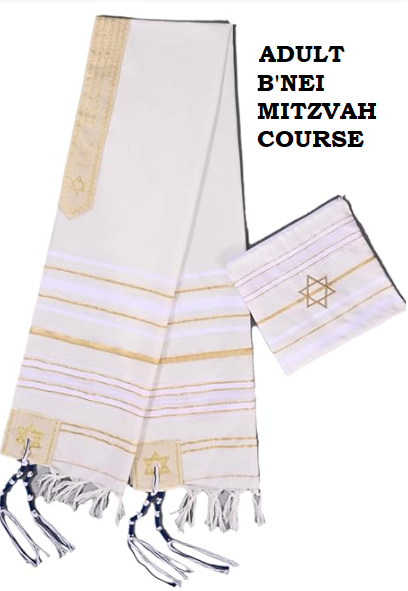 Adult B'nei Mitzvah Class 