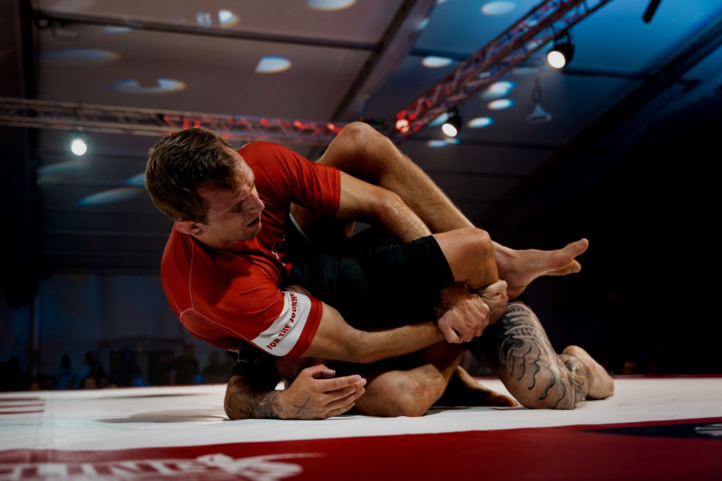 bjj-8111388.jpg