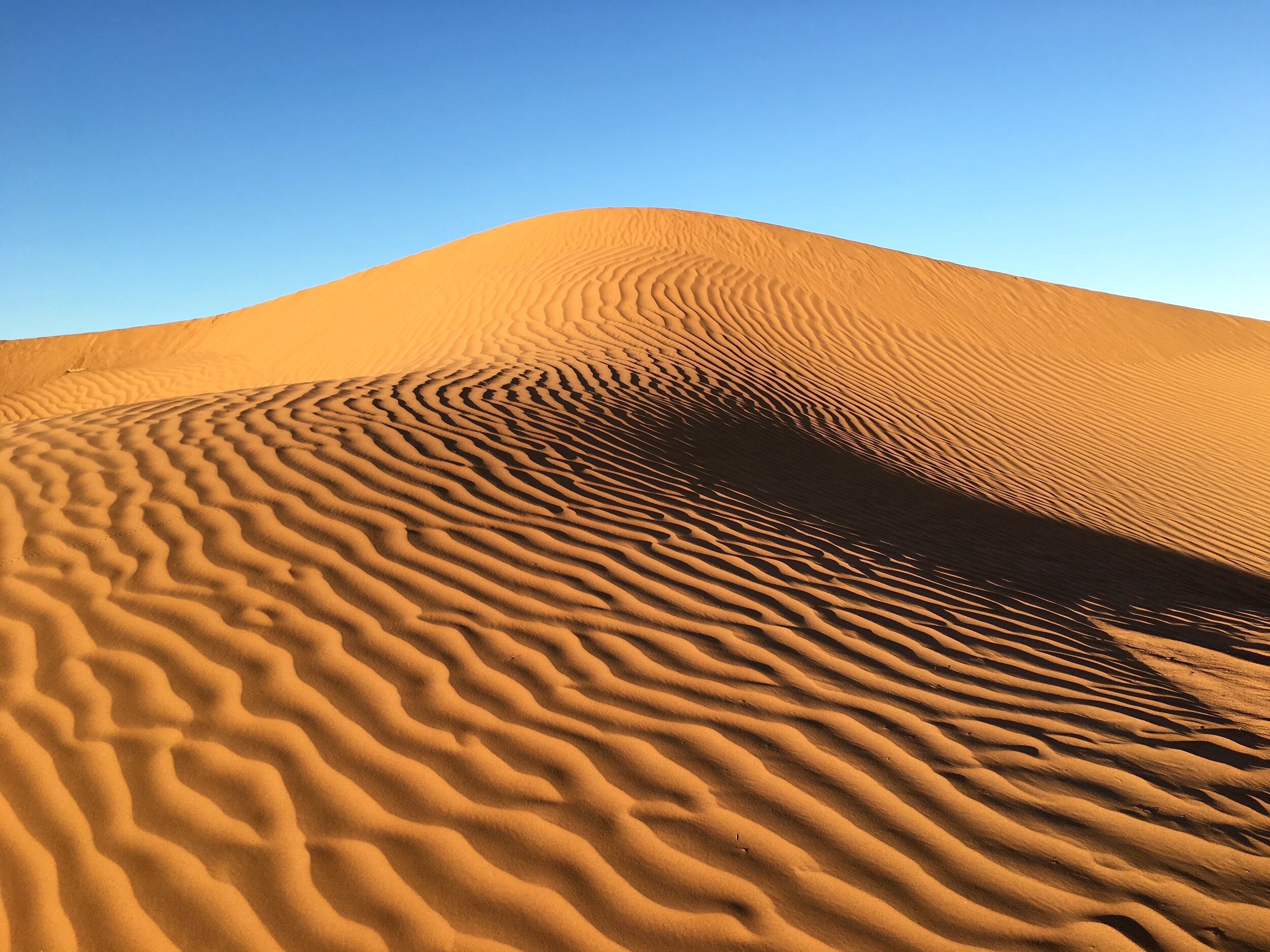 sahara-desert-sand-dunes-moroccoIMG_2697.jpg