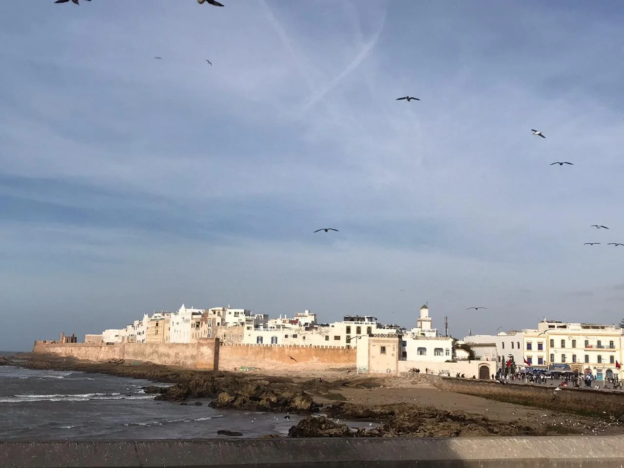 WhatsApp Image 2019-11-11 at 2.56.30 PM.jpeg