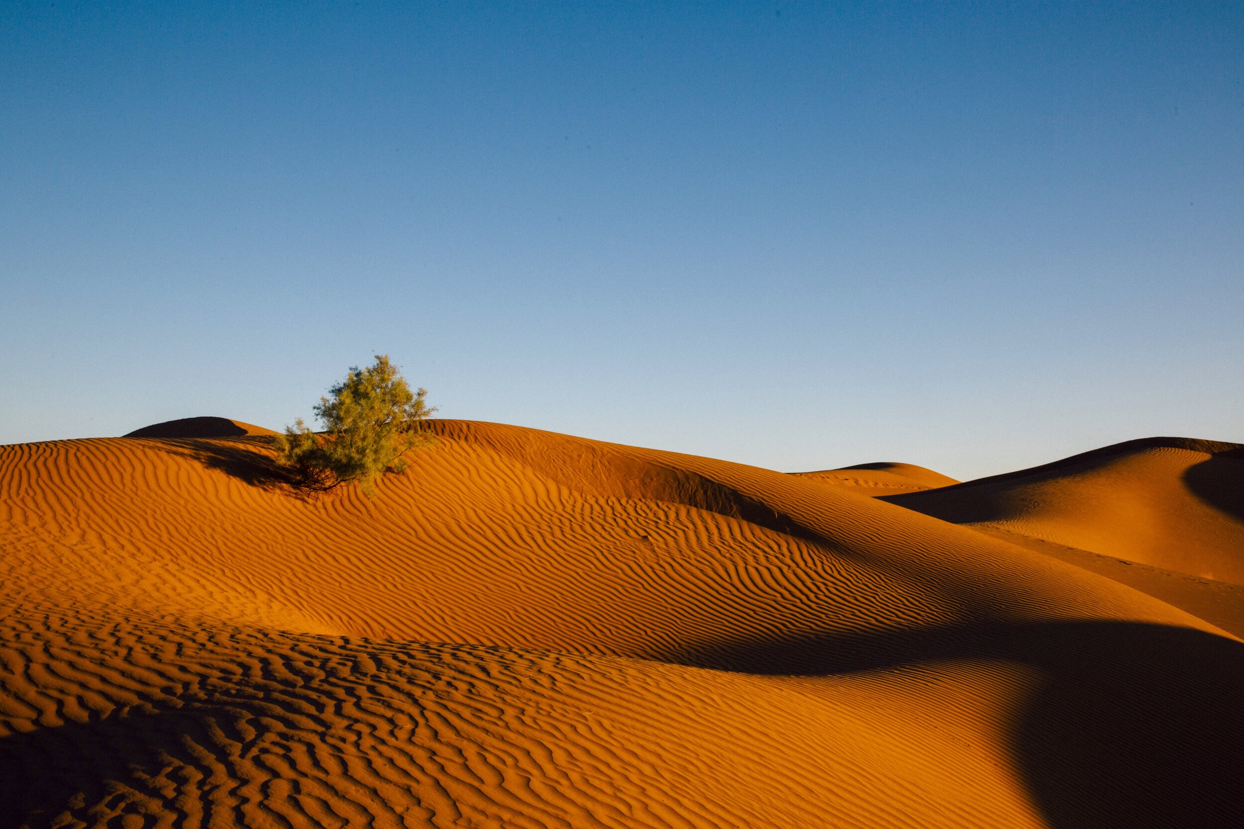 sahara-desert-sand-dunes-moroccocamp_adounia_cn-128.jpg