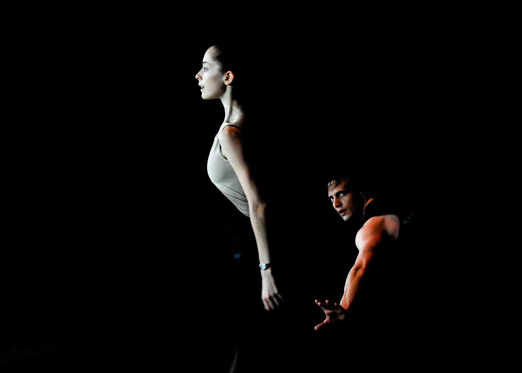 Untitled design (5).png