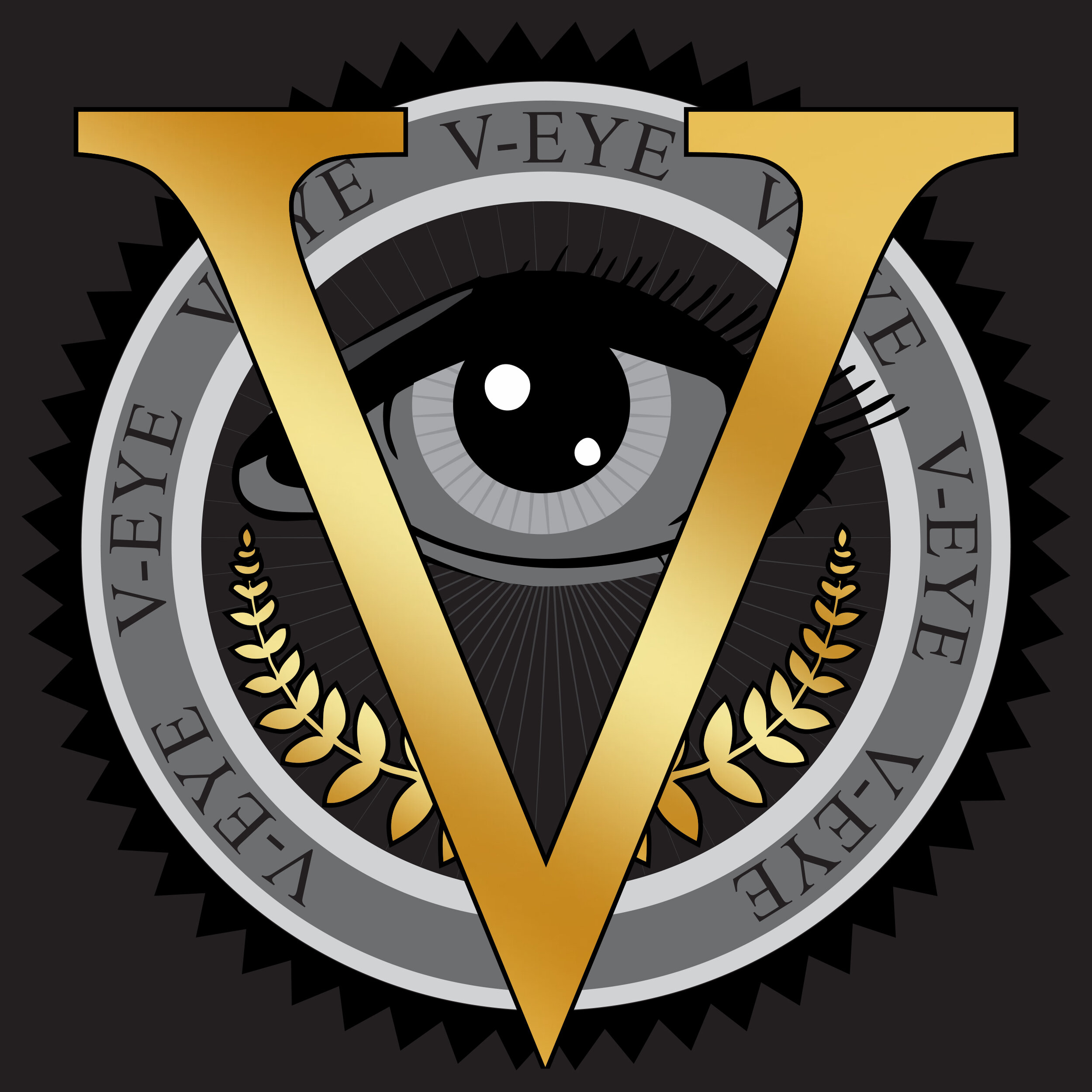 V-Eye Grey Logo.jpg