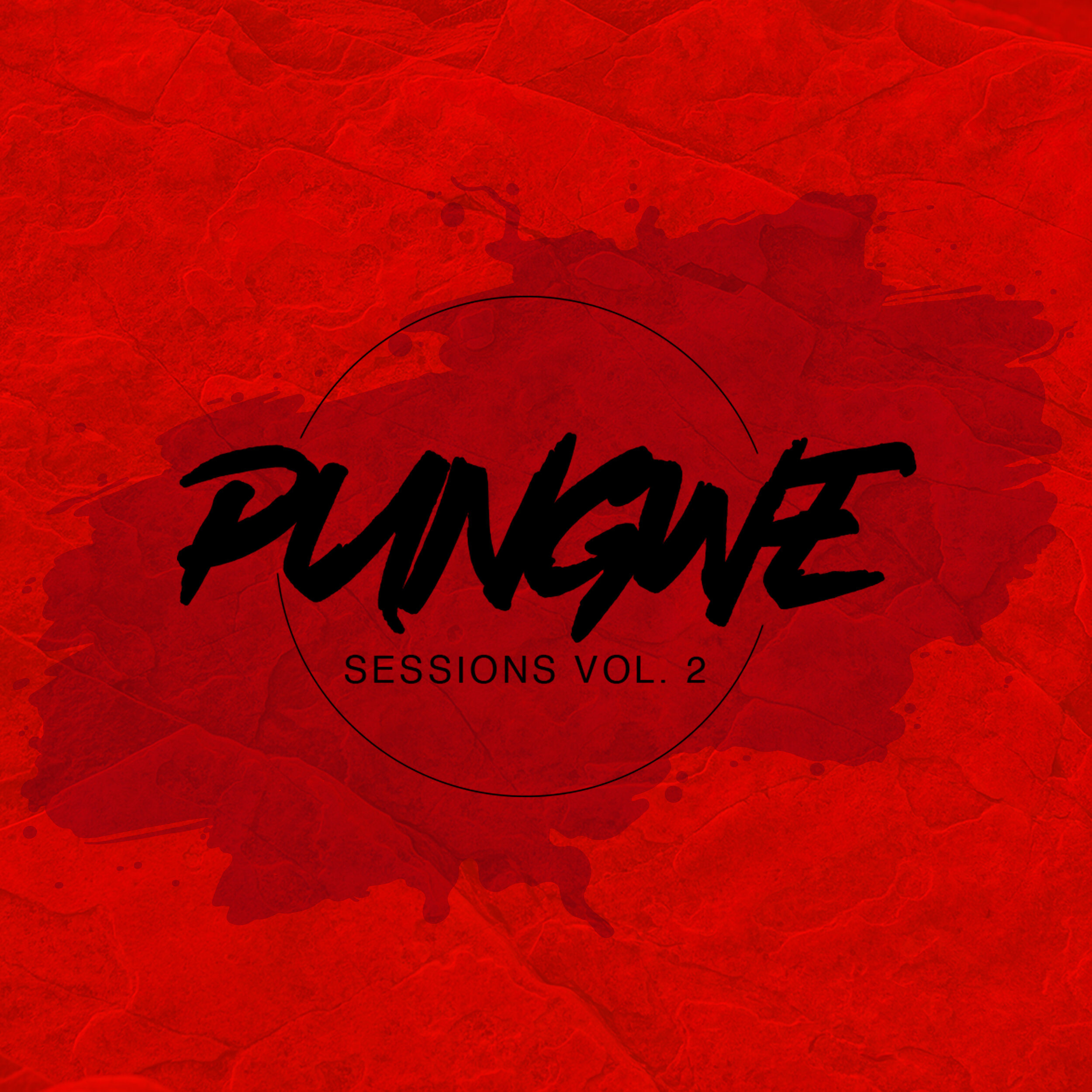 Pungwe Sessions Vol II Album Front Cover.jpg