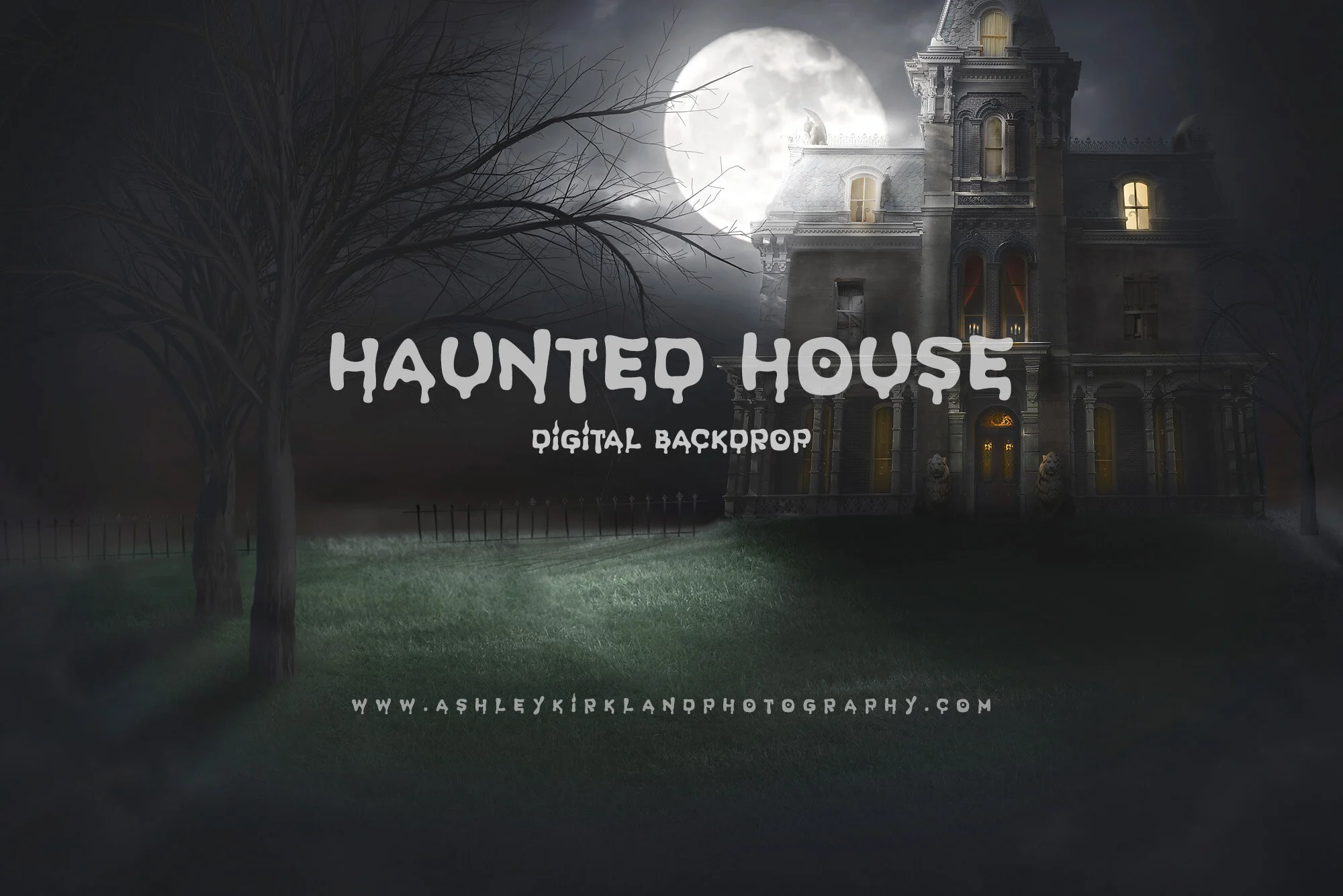 Haunted House 1 copy.jpg