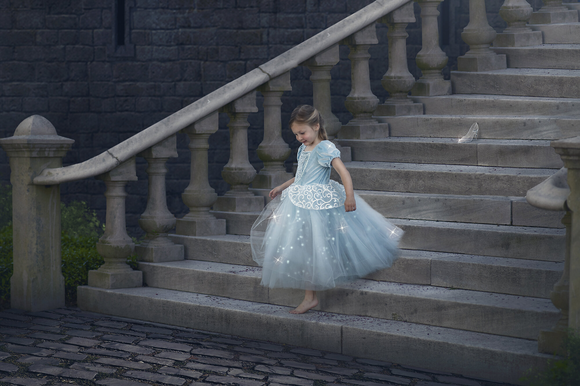 Cinderella 1 with sparkles copy.jpg