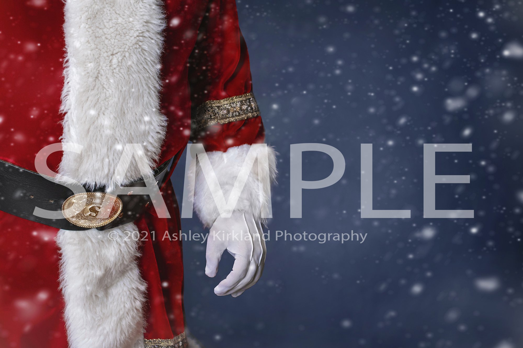 Photographer Resrouces Shop — Santa Claus Digital Backdrop