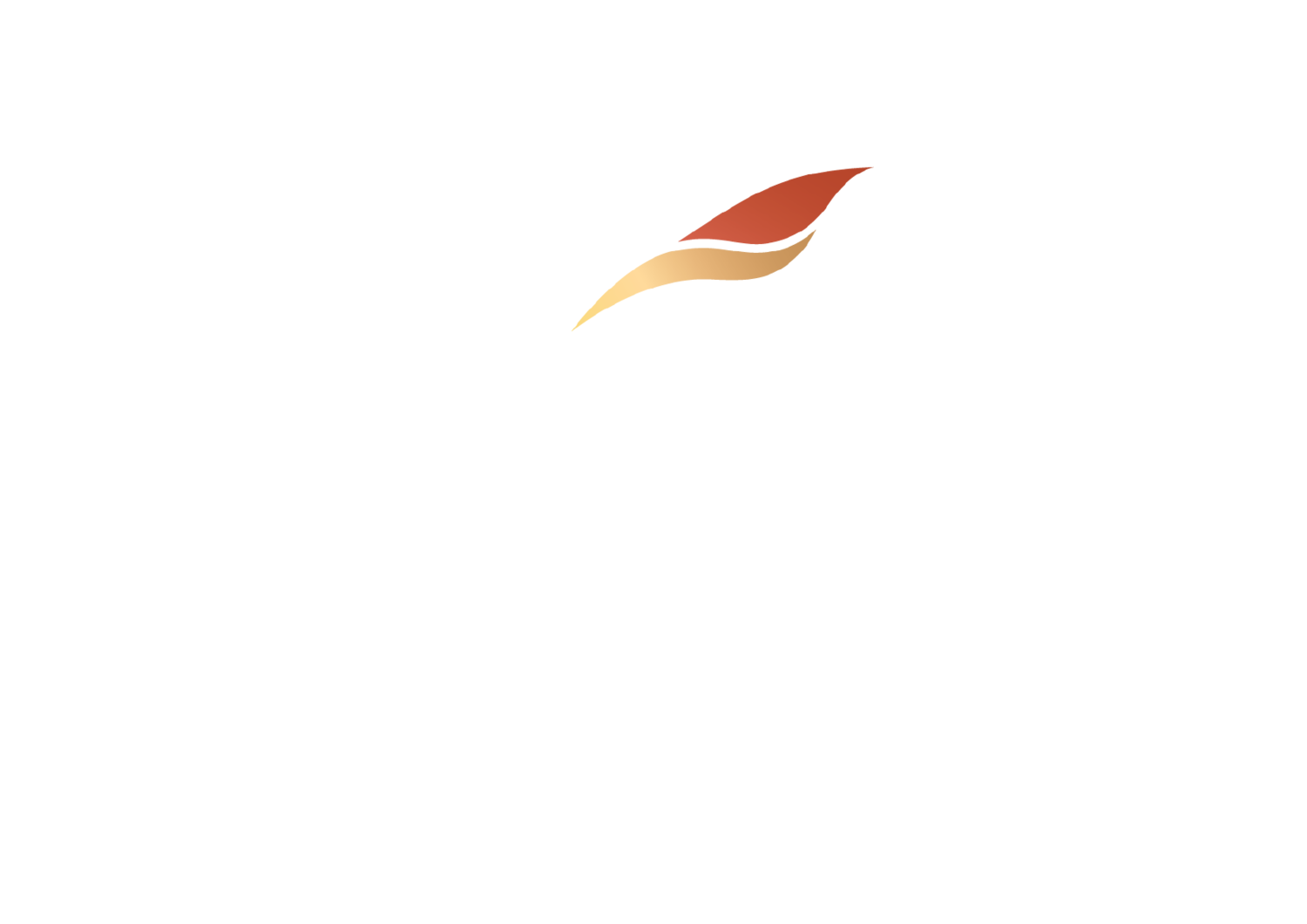 ARABIAN PARTNERS