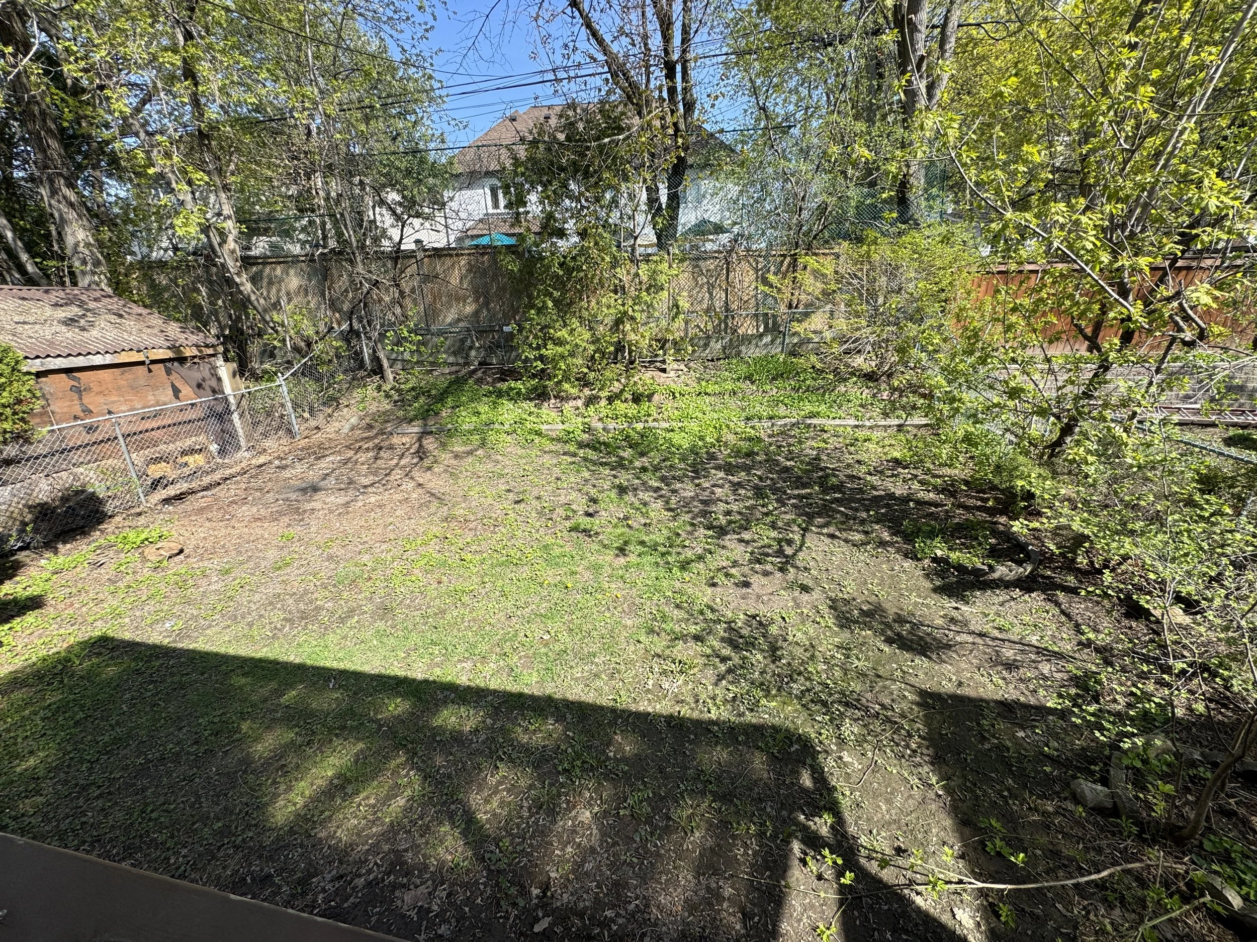IMG_0833.jpeg