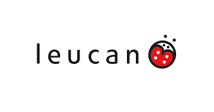 Leucan_logo.png
