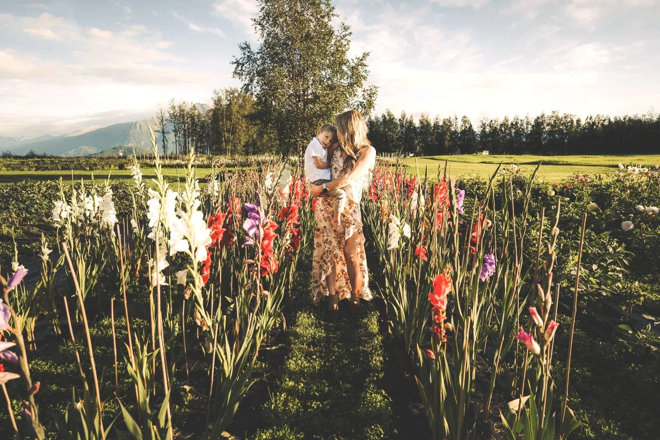 A woman holding a child in a field of tall flowers with mountains in the background during sunset.