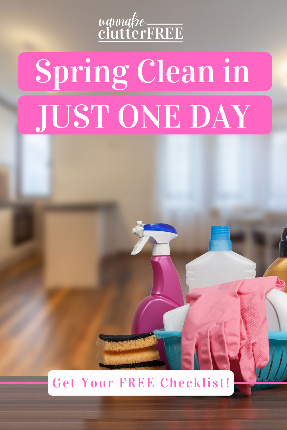 Spring Clean in JUST ONE DAY!