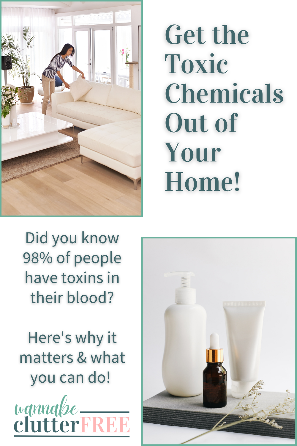 Get the toxic chemicals out of your home!