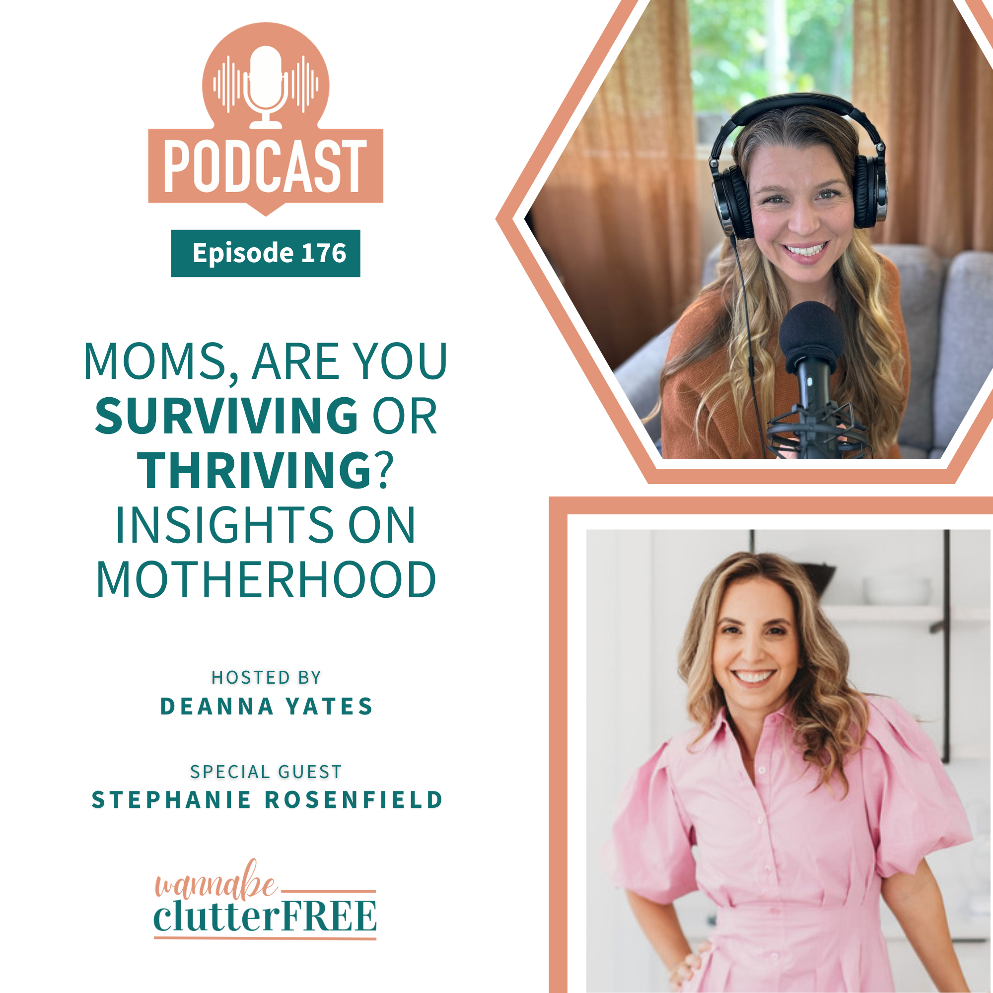 Ep 176: Are You Surviving or Thriving? Insights on Motherhood with Stephanie Rosenfield