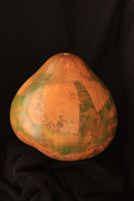 Gourds-138.jpeg