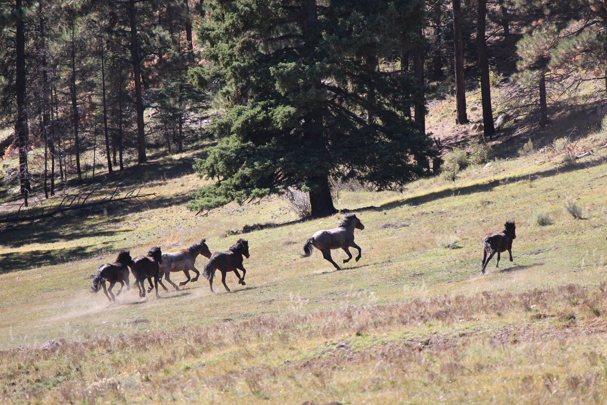 Jarita 2022 2-urELmTM.jpeg