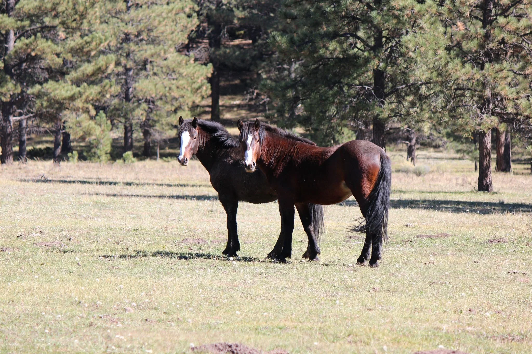 Jarita 2022 50Ytj-a5A.jpeg