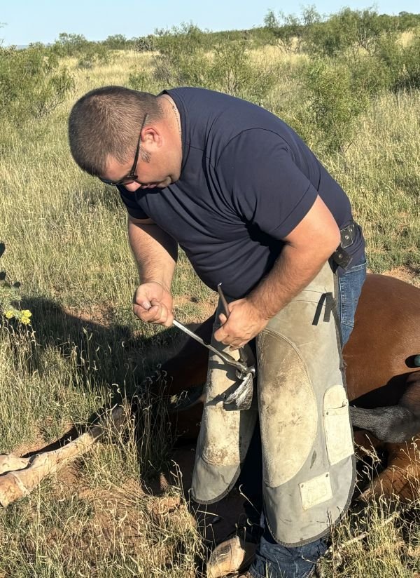 Justin Marquez, Farrier & Immunocontraception 