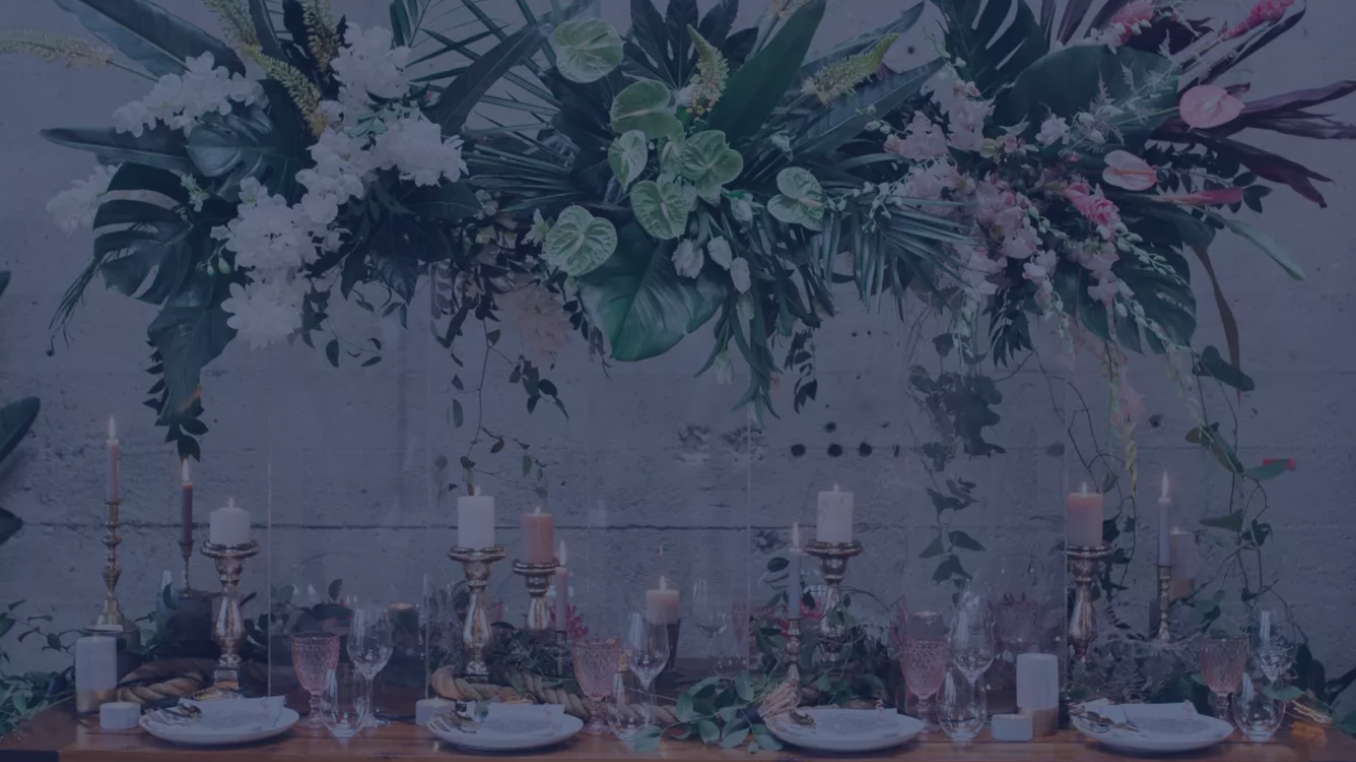 Untitled design (10).png