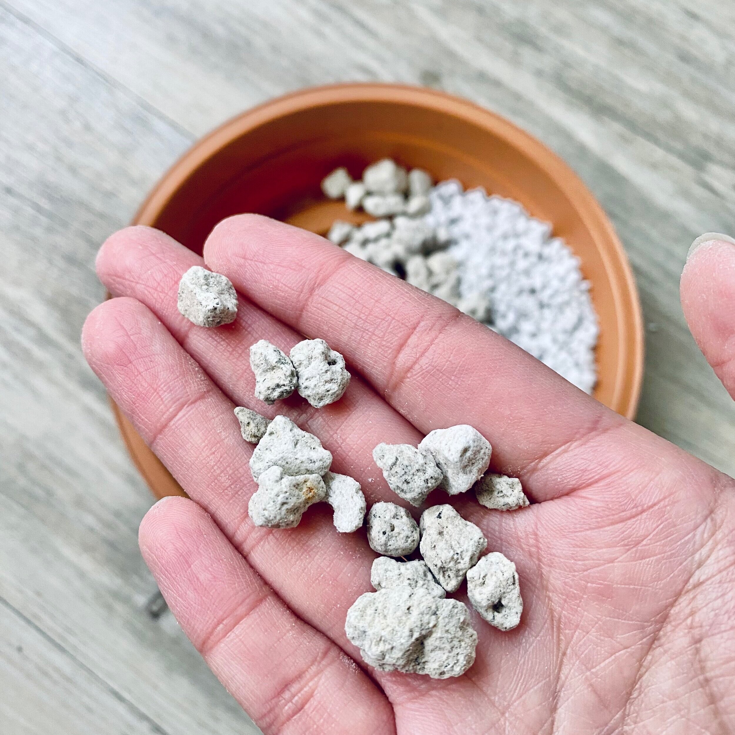 The Ultimate Guide to Houseplant Substrates — Hope You Like Plants