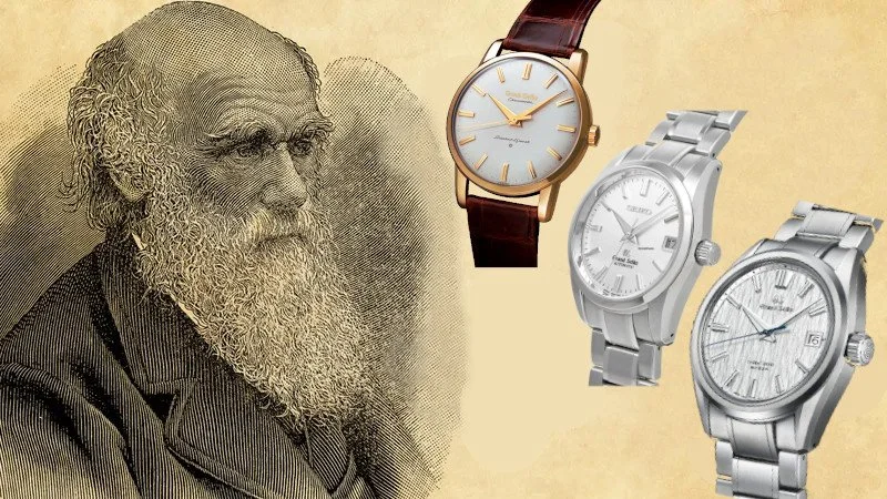 Evolution 9: Darwinisme horloger