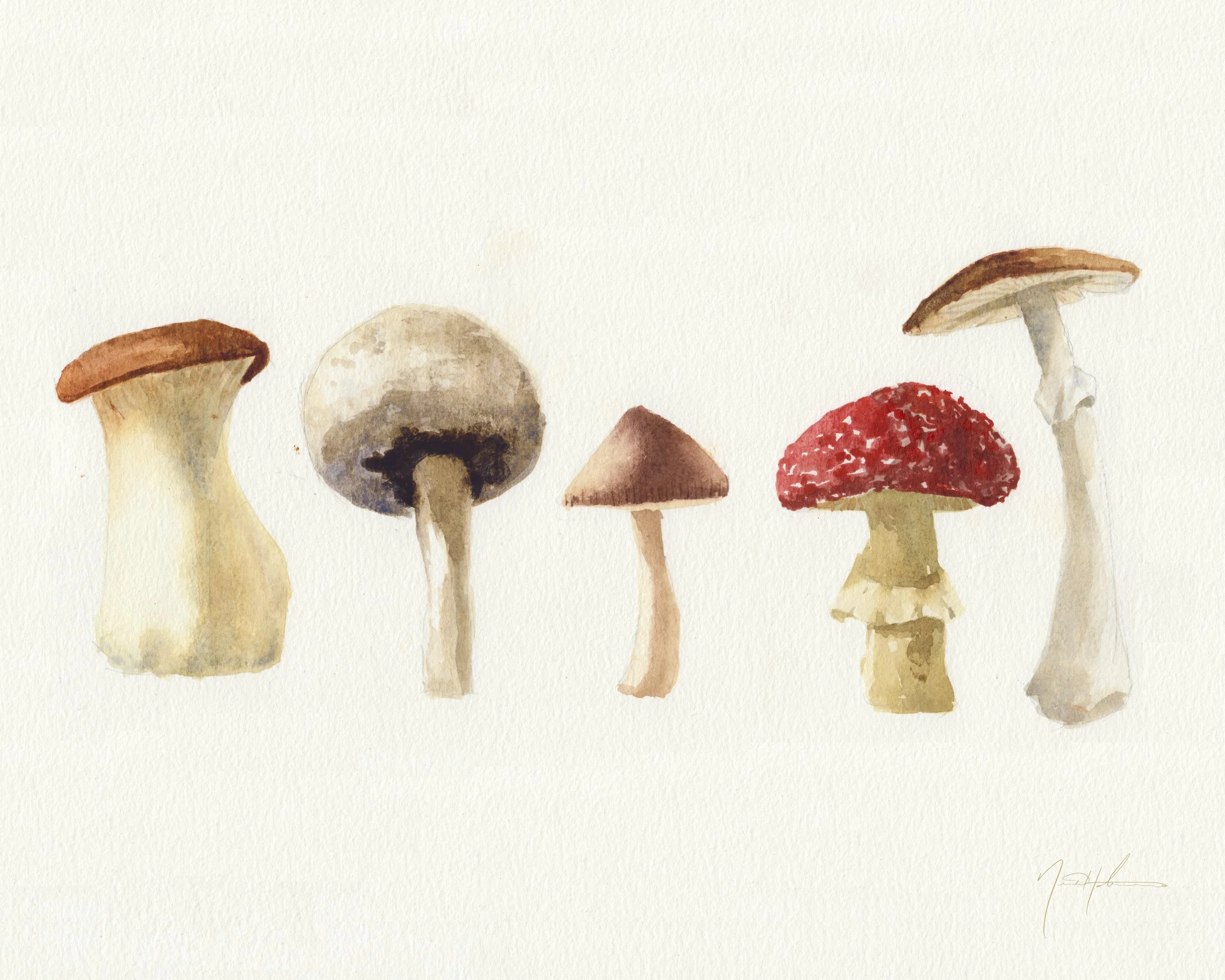 Untitled_Artwork 430.jpg