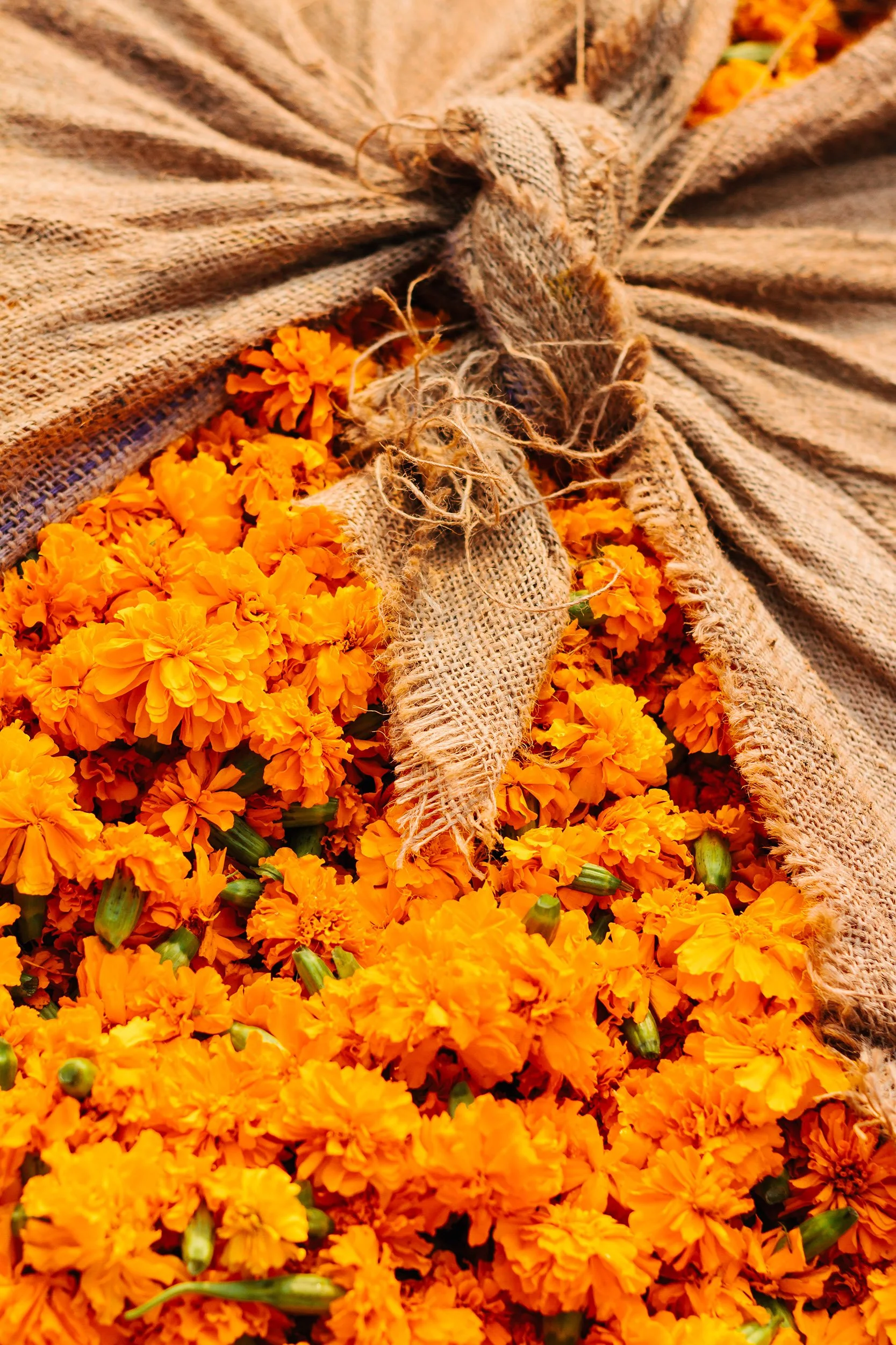 Phool Mandi, Jaipur, India