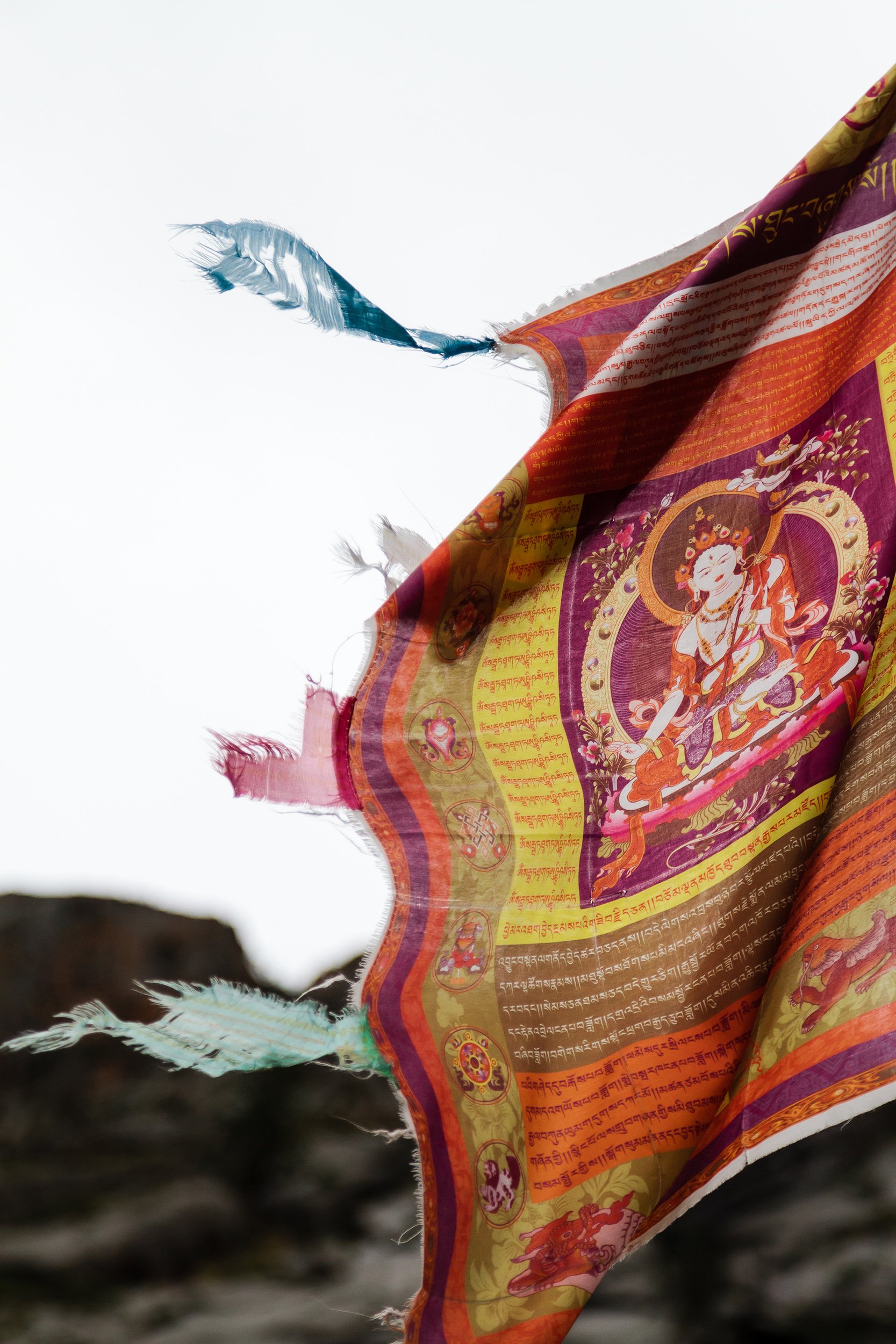 Buddhist flag, Mongolia