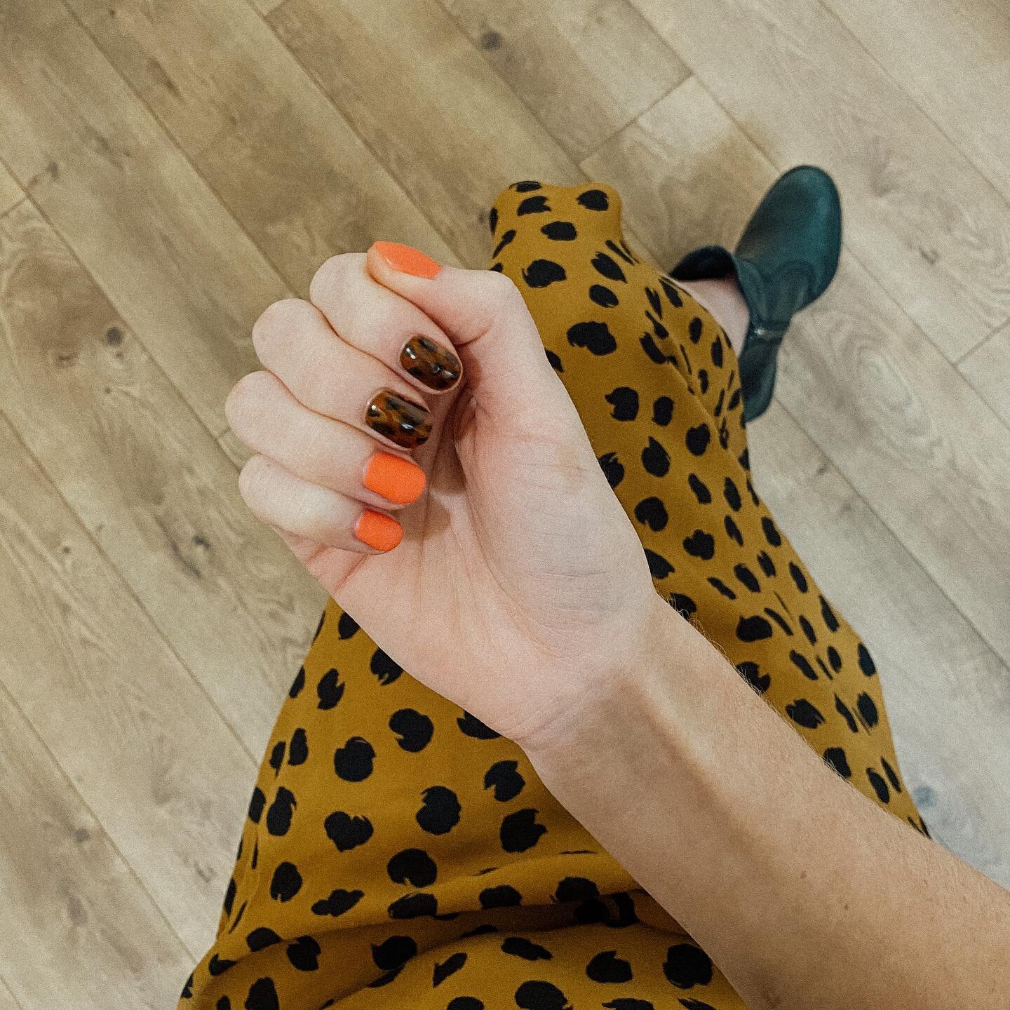 tortoise things : @castonnails