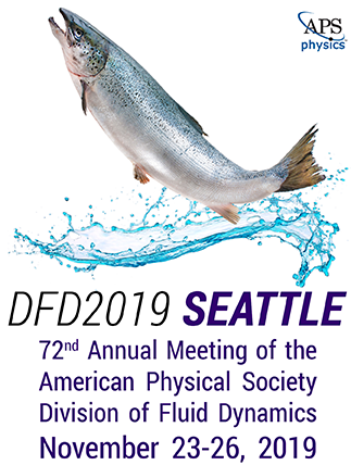 Come join us at APS DFD 2019 in Seattle
