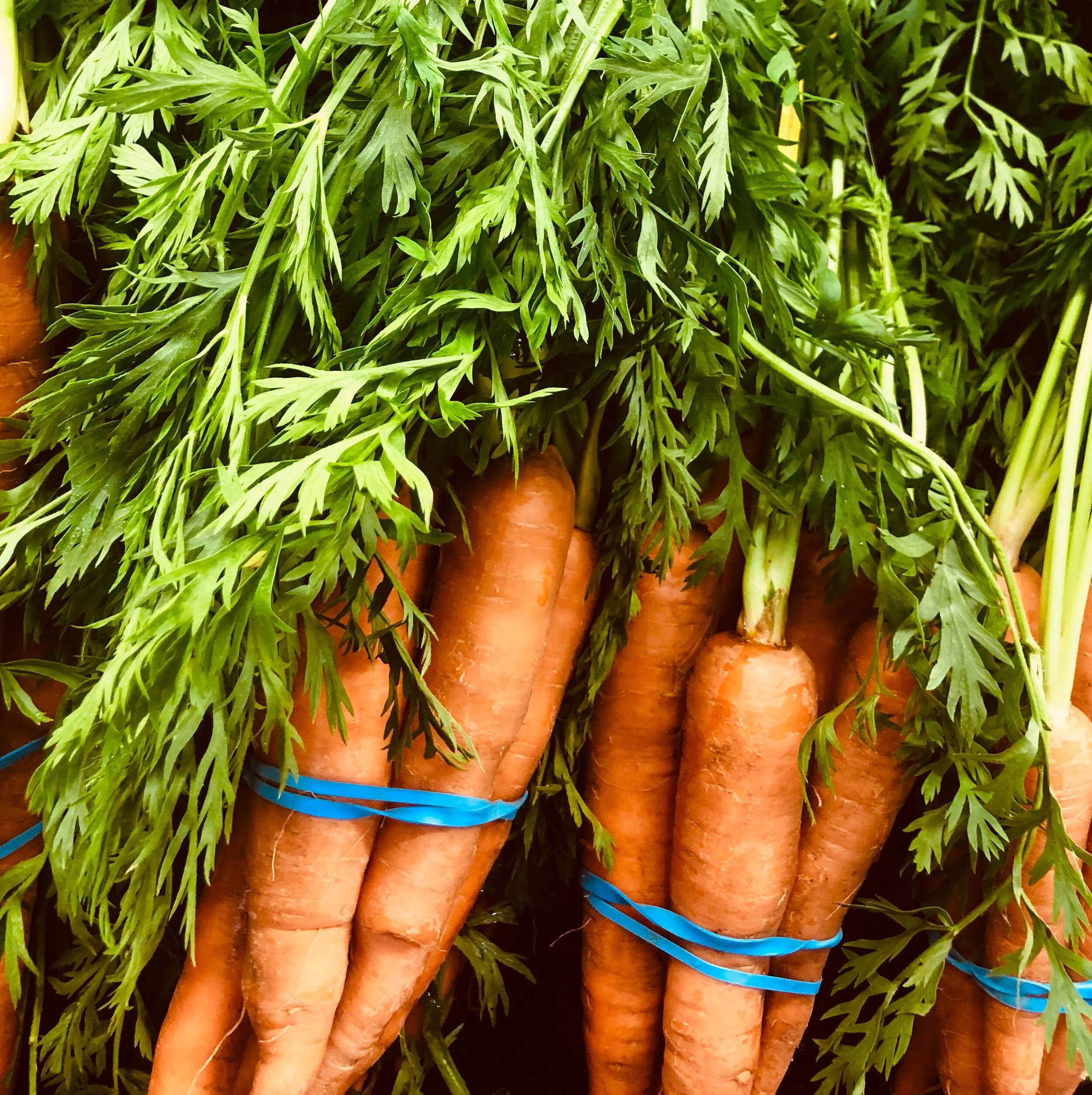 AntioxidantRich Foods for Skin — Skyn Muse