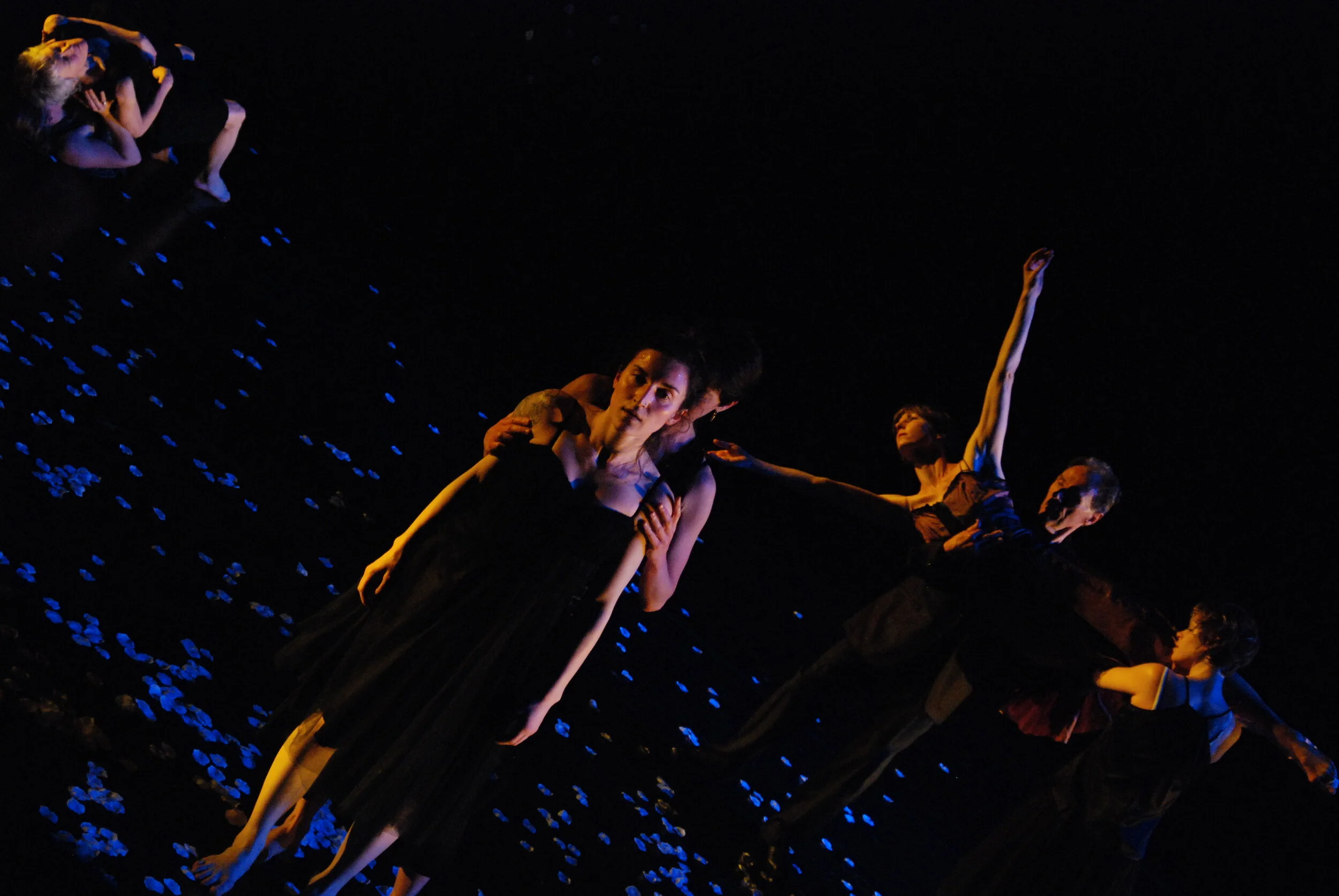  UC Davis @ Mondavi Center 2008          Photo by Tony Shayne 