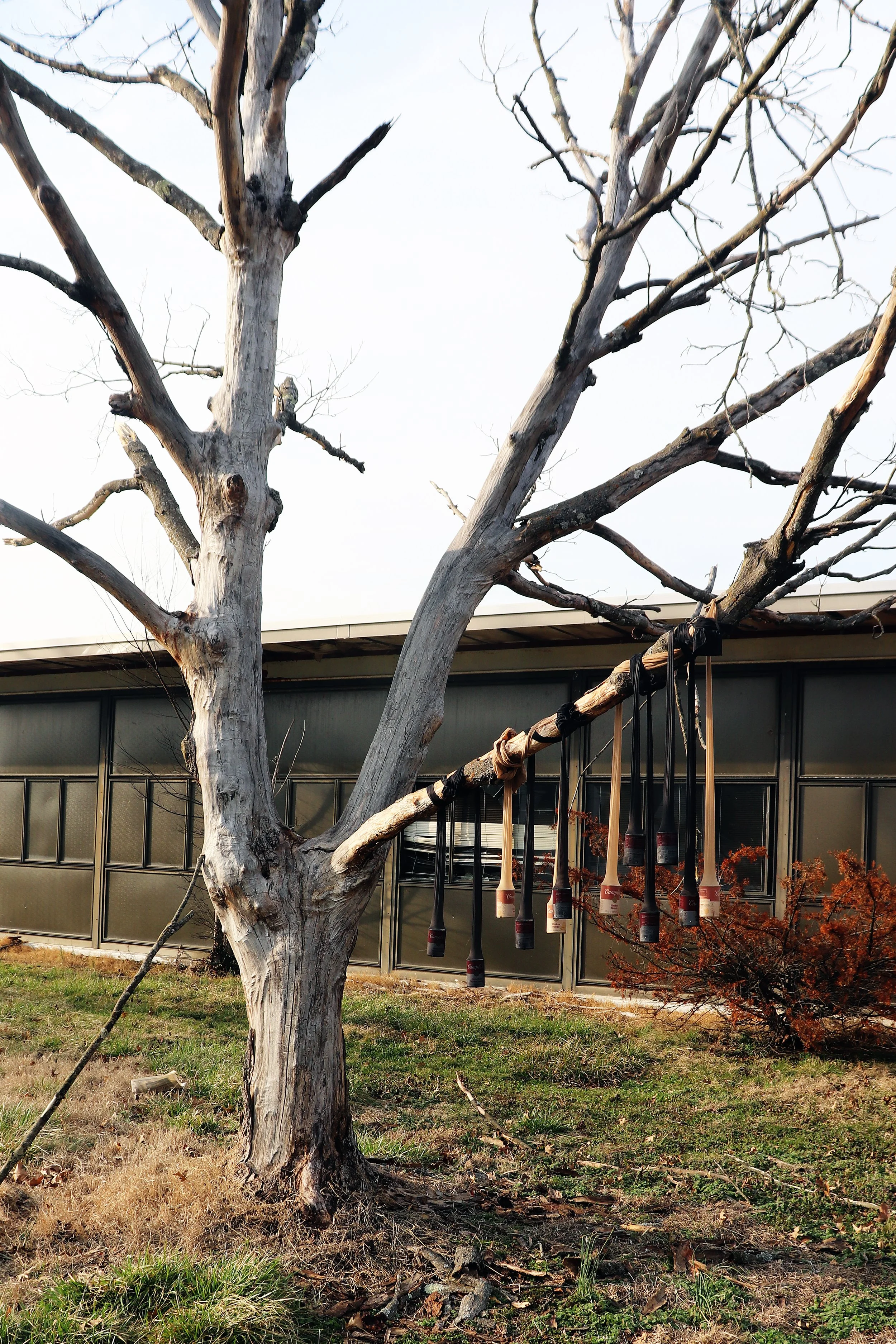 Soup for Your Family - Soup, pantyhose, tree, abandoned high school (2026)
