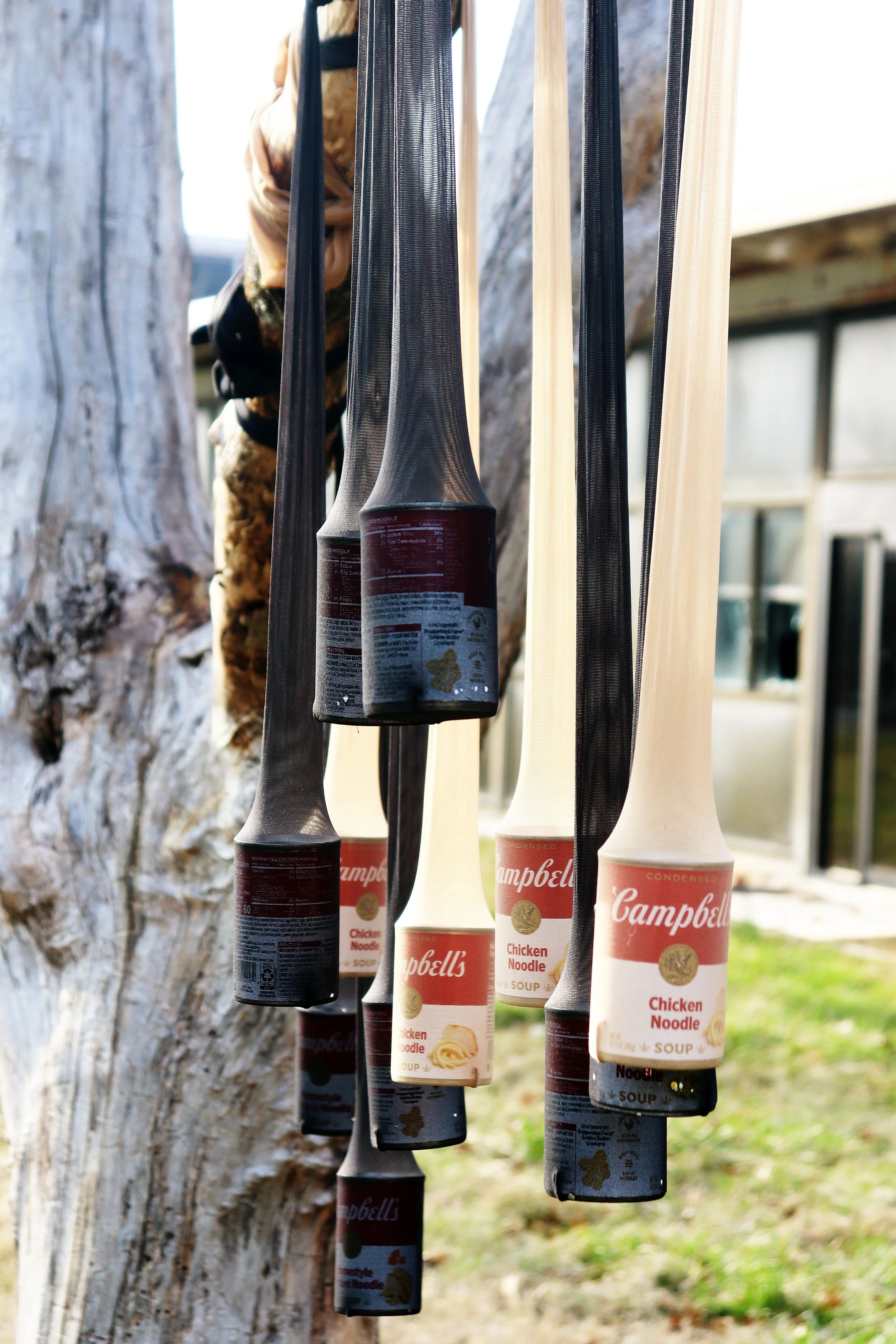 Soup for Your Family - Soup, pantyhose, tree, abandoned school (2026)