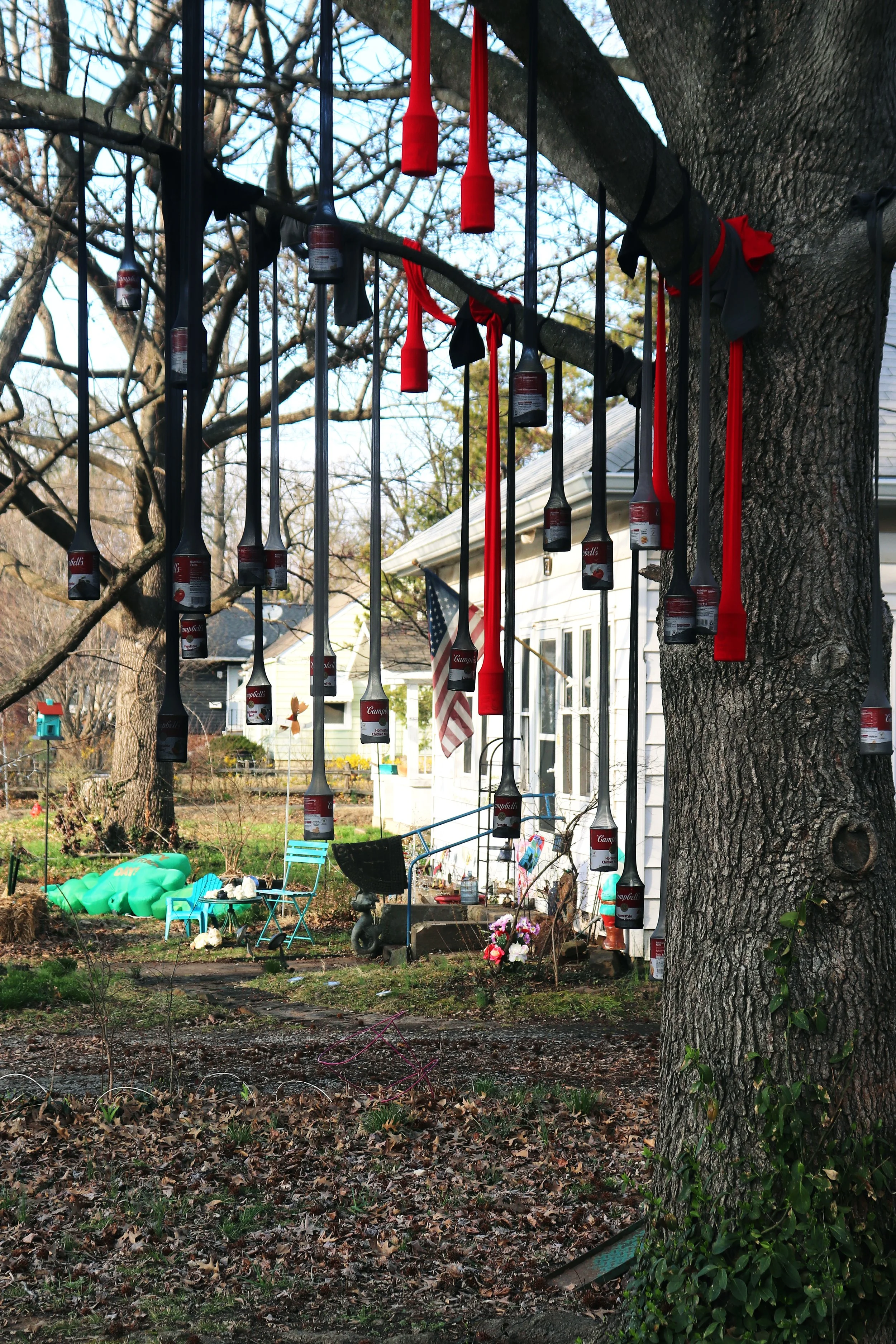 Soup for Your Family - Campbells Soup, pantyhose, tree (2026)