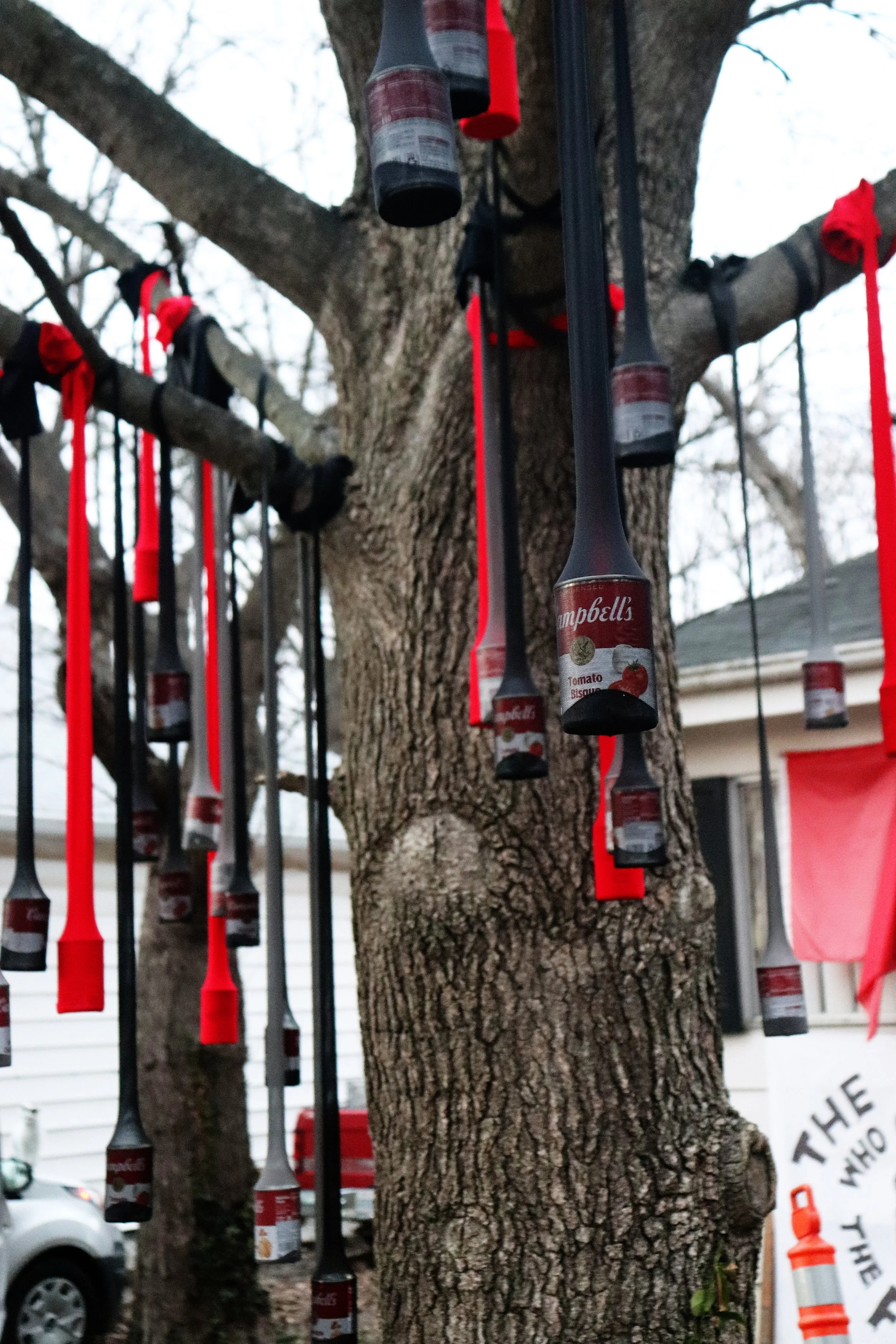 Soup for Your Family - Campbells Soup, pantyhose, tree, BALM (2025)