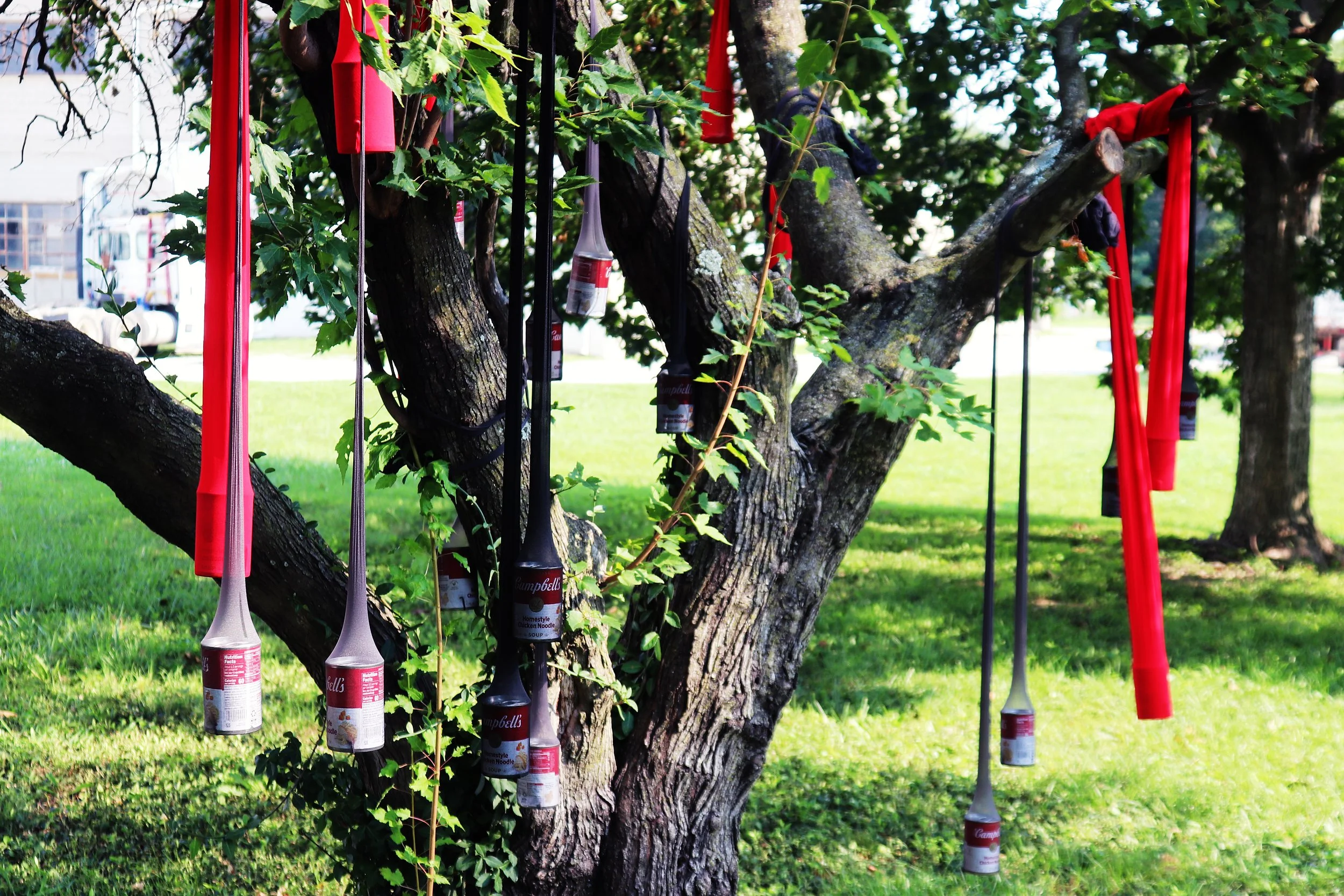 Soup for Your Family - Soup, pantyhose, tree (2026)